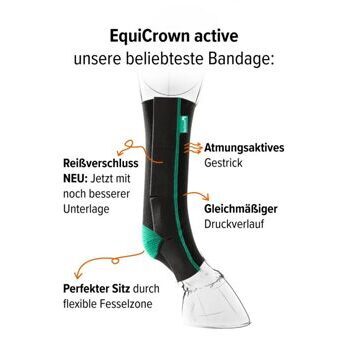 EquiCrown active