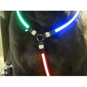 Horse Front Light 2,LED Vorderzeug per USB aufladbar
