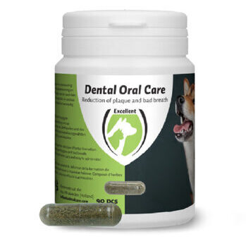 Dental Oral Care Hund