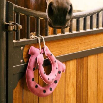 Imperial IRHStable buddy Horseshoes