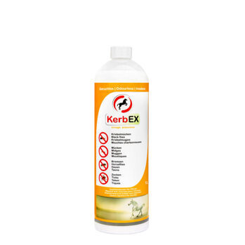 KerbEX orange | ohne Geruchsstoffe ohne Sprühkopf