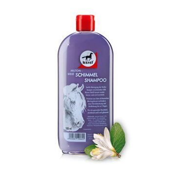 Shampoo/Reinigung