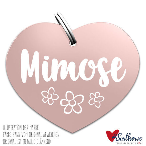 “Mimose” Marke rose