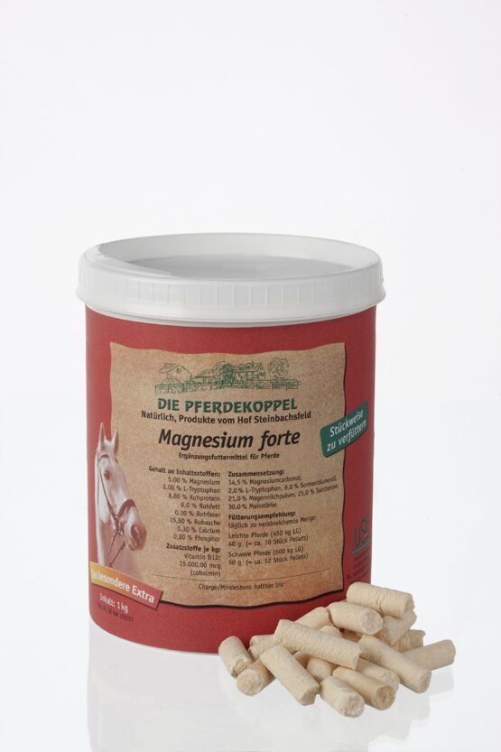 Magnesium Forte, 1kg Dose